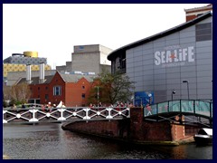 Worcester and Birmingham Canal 14 - Sealife.JPG